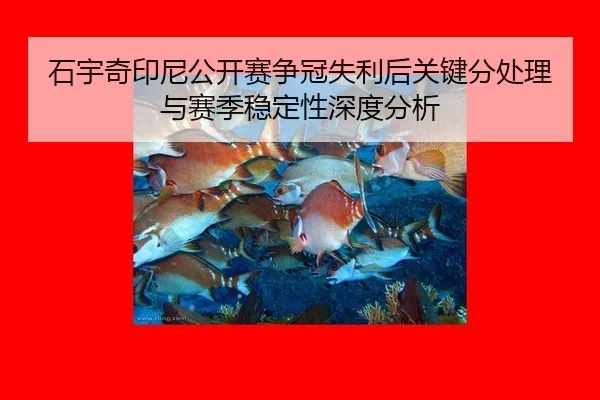 shi-yu-qi-yin-ni-gong-kai-sai-zheng-guan-shi-li-hou-guan-jian-fen-chu-li-yu-sai-ji-wen-ding-xing-shen-du-fen-xi-2-756.jpg